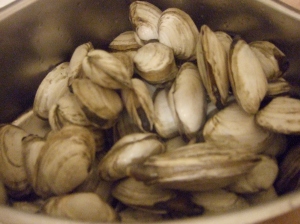 Ipswich clams in the raw